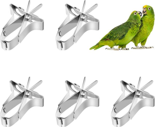 5 PCS Bird Fruit Feeder Cuttlefish Clip Bird Vegetable Holder Clip Stainless Steel Bird Feeder Bird Foraging Toy Cage Accessories For Bird Hamster Cockatiel Parrot Small Animals