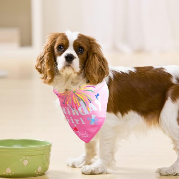 Dog Birthday Bandana Large Breed Girl & Boy, Soft Dog Triangle Scarf Bib Accessories, Washable Adjustable Pet Kerchief, Party Supplies for Small Medium Cats Pets (Pink) - Image 7