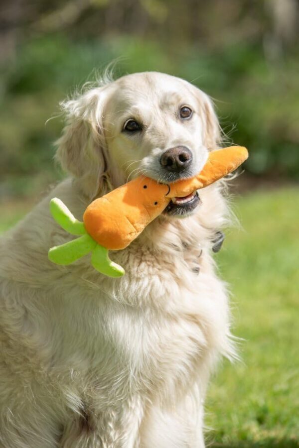 Petface Foodie Faces Fluffy Carrot Dog Toy - Image 4