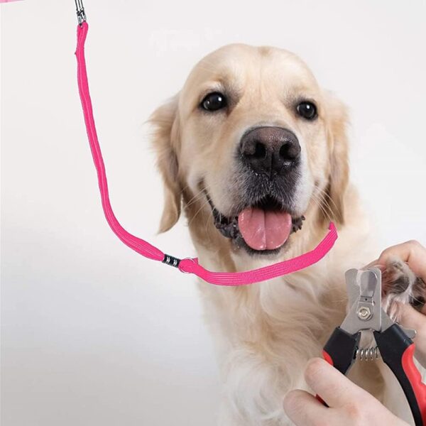 NA 3 Pieces Pet Dog Grooming Loops Leash Pet Bathing Tether Straps Dog Cat Bathing Nylon Restraint Noose Harness Safety Rope Pet Grooming Table Bathtub supplies for Pet Grooming Table Bathtub - Image 7