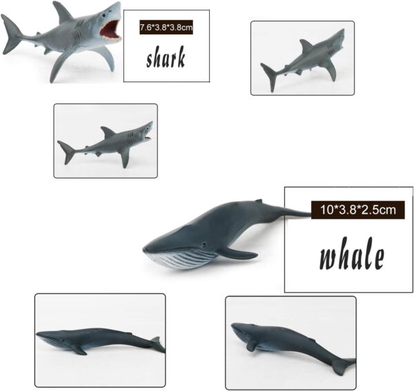 Fun Gift Sea Animal Toy Set,12 pcs Animal Sea Figures Ocean Toy for Kids, Realistic Set for Sea Lovers, Includes Great White Shark, Dolphin, White Shark, Whale - Image 2