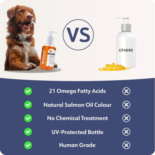 Brilliant Salmon Oil for Dogs, Cats, Puppy, Horse, Ferret & Pets - Pure Omega 3, 6 & 9 Fish Oil Food Supplement | Treats Itchy Skin, Joint Care, Heart Health & Natural Coat Hofseth BioCare (2x300ml) - Image 5