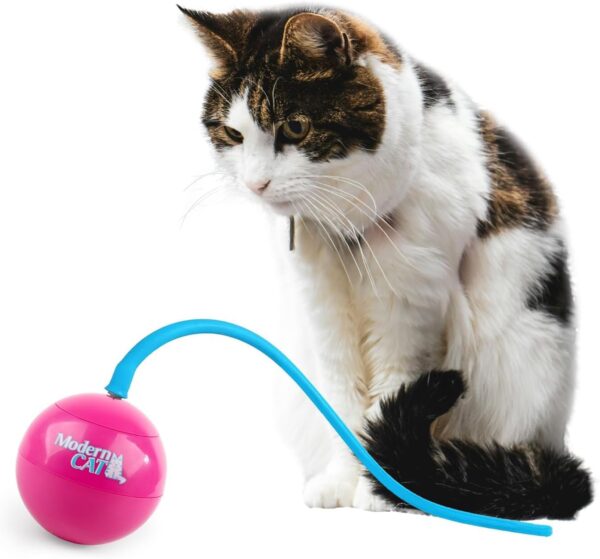 AFP Automatic Lifelike Prey's Tail Teaser Toy,2-in-1 Interactive Cat Toys Exercise Toy for Kitten Automatic Irregular Moving Cat Toy,Stimulate Cats' Hunting Instincts, Exercise Cat Wand Toy for Cats - Image 7