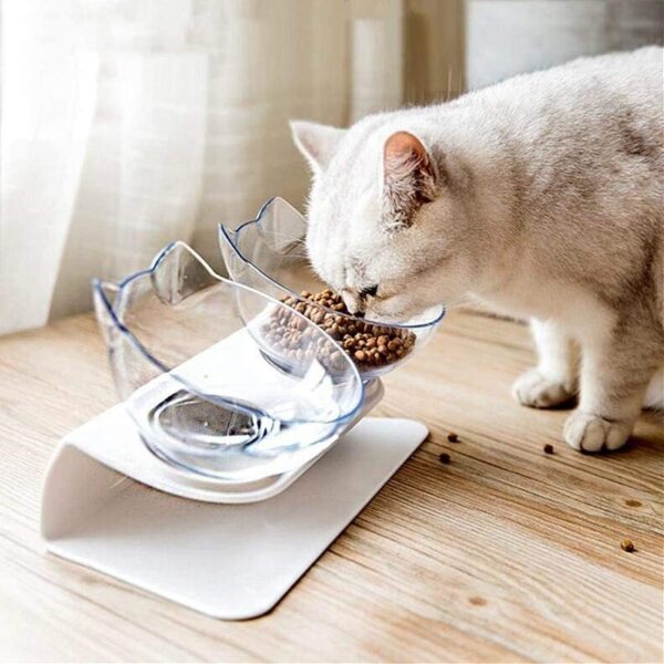 Raised Cat Bowl with Stand, 15° Tilted Cat Bowls for Kittens Elevated Cat Bowl Anti Vomiting Double Cat Bowls Plastic Transparent Cat Feeding Bowl - Image 9