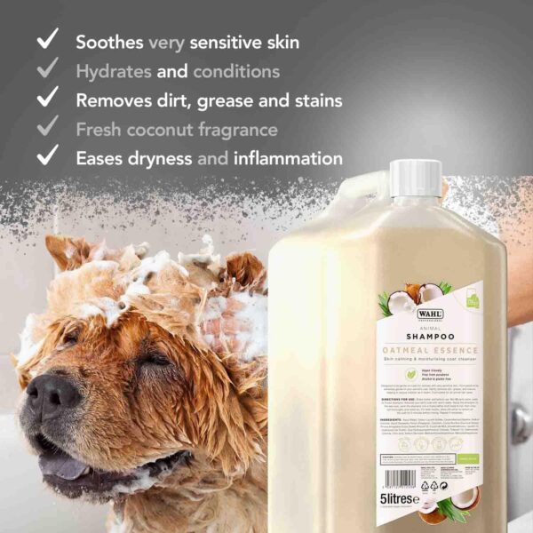 Wahl Oatmeal Essence Shampoo, Dog Shampoo, Shampoo for Pets, Natural Pet Friendly Formula, For Dogs with Very Sensitive Skin, Concentrate 15:1, Moisturises Pet Coats, 5 Litre - Image 4