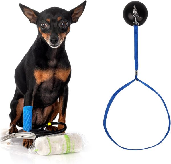 MEISH 4 Pieces Dog Bathing Tether with Suction Cup Pet Dog Bathing Tether Straps Pet Bathtub Supplies for Bathing Grooming. - Image 6