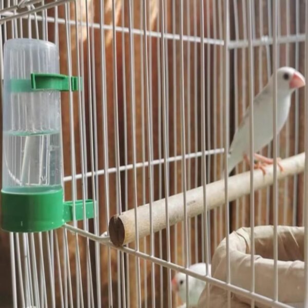 4 Pcs Bird Food Water Dispenser Bird Drinker Bird Cage Bottle Pet Waterer for Parrot Lovebird Cage Accessories - Image 5