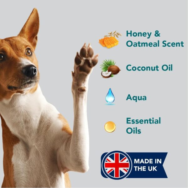 The Healthy Dog Co - All-Natural Dog Shampoo and Conditioner - Honey and Oatmeal Dog Shampoo for Smelly Dogs - Nourishing Dog Shampoo for Sensitive Skin - Puppy Shampoo and Dog Conditioner- 500ml - Image 6