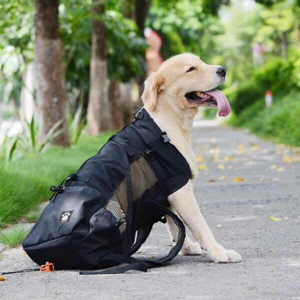 Woolala Dog Backpack Carrier Rucksack Puppy Head Out Front Pack with Waterproof Lining, Small Pet Travel Bag for Hiking Walking Bike - Image 3