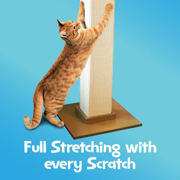 Smart Cat The Ultimate Scratching Post - Image 3