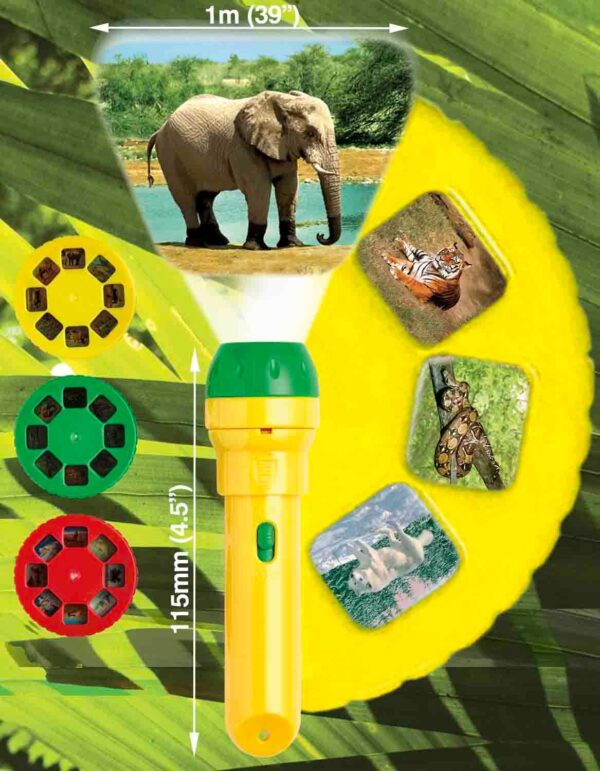 Brainstorm Toys STEM Animal Torch and Projector - Image 4