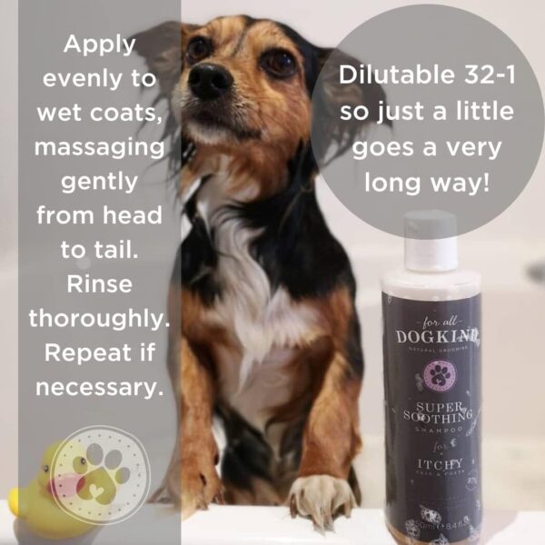 For All DogKind Super Soothing Dog Shampoo - Hydrating and Cleansing for itchy Skin - Flea and Tick Defense - Dilutable 32-1 - 97% Natural - 250ml - Image 4