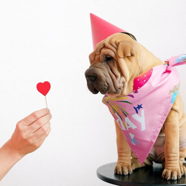 Dog Birthday Bandana Large Breed Girl & Boy, Soft Dog Triangle Scarf Bib Accessories, Washable Adjustable Pet Kerchief, Party Supplies for Small Medium Cats Pets (Pink) - Image 6