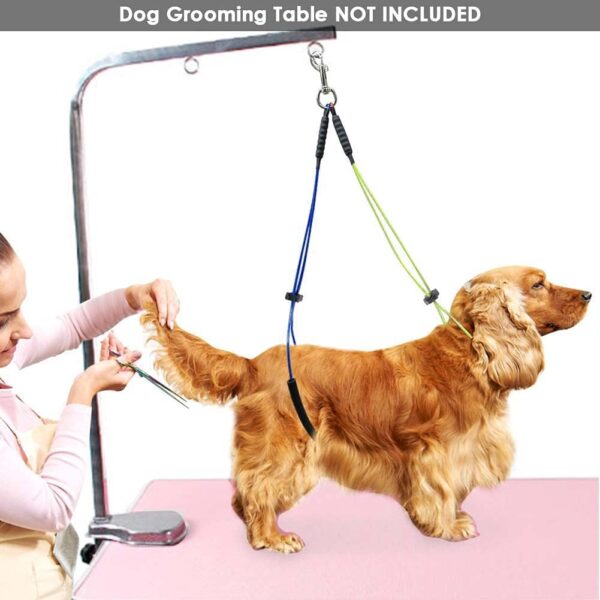 Felenny Pet Grooming Table Rope Pet Grooming Leash Neck and Haunch Holder Belly Strap Set For Pet Grooming Table Pet Grooming Loop, for Small/Medium Dogs - Image 8