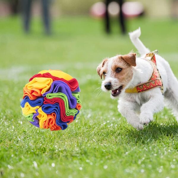 Snuffle Mat for Dogs,Interactive Dog Toy Ball,Dog Puzzle Toy,Dog Feeding Mats,Foraging Mat for Dog,Sniffing Mat,Encourages Natural Foraging Skills for Training,Stress Relief for Small Medium Dogs Pets - Image 6