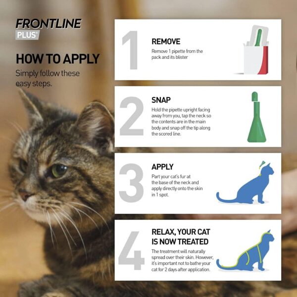 FRONTLINE Plus Flea & Tick Treatment for Cats and Ferrets - 3 Pipettes - Image 2