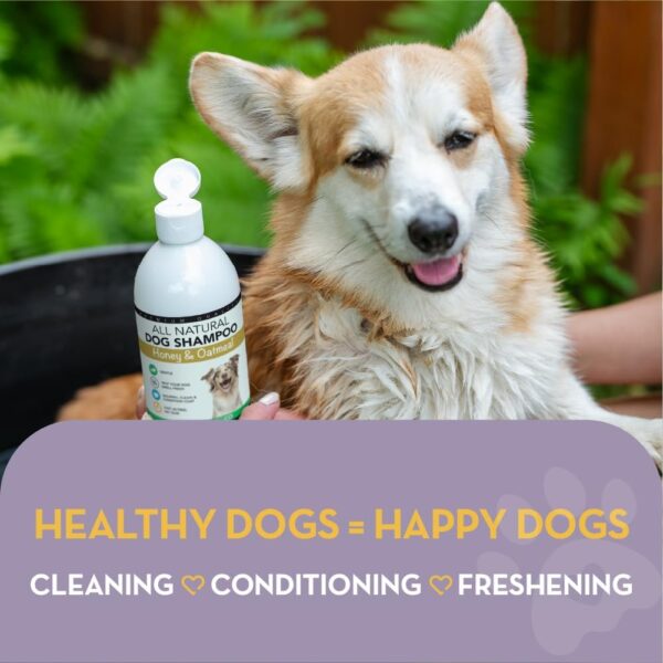 The Healthy Dog Co - All-Natural Dog Shampoo and Conditioner - Honey and Oatmeal Dog Shampoo for Smelly Dogs - Nourishing Dog Shampoo for Sensitive Skin - Puppy Shampoo and Dog Conditioner- 500ml - Image 3