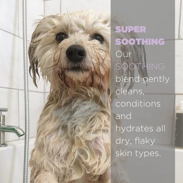 For All DogKind Super Soothing Dog Shampoo - Hydrating and Cleansing for itchy Skin - Flea and Tick Defense - Dilutable 32-1 - 97% Natural - 250ml - Image 2