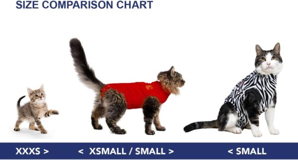 MPS Medical Pet Shirt Cat, Surgery Recovery Suit, Red, XX-Small - Image 4