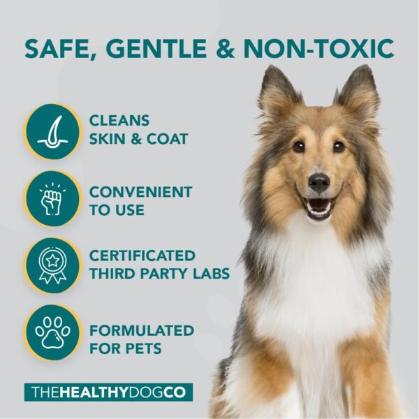 The Healthy Dog Co - All-Natural Dog Shampoo and Conditioner - Honey and Oatmeal Dog Shampoo for Smelly Dogs - Nourishing Dog Shampoo for Sensitive Skin - Puppy Shampoo and Dog Conditioner- 500ml - Image 2