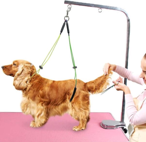 Foldable Pet Dog Grooming Arm with Clamp Pet Grooming Table Rope Adjustable Pet Grooming Leash and Haunch Holder Dog Grooming Loop Set - Image 5