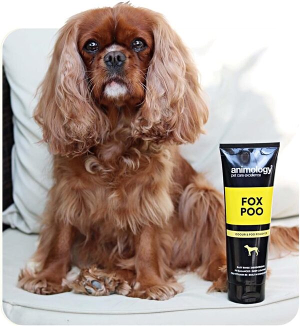 Animology Fox Poo Dog Shampoo 250ml - Image 8