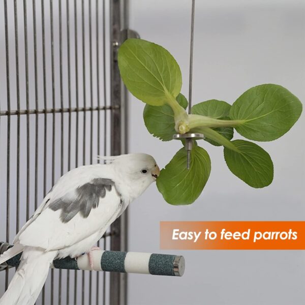 iTGOOS 2Pcs Parrot Skewer Feeder,Stainless Steel Parrot Fruit Stick Holder,Bird Food Holder,Birds Foraging Toy for Parrots Cockatoo Cockatiel Cage - Image 6