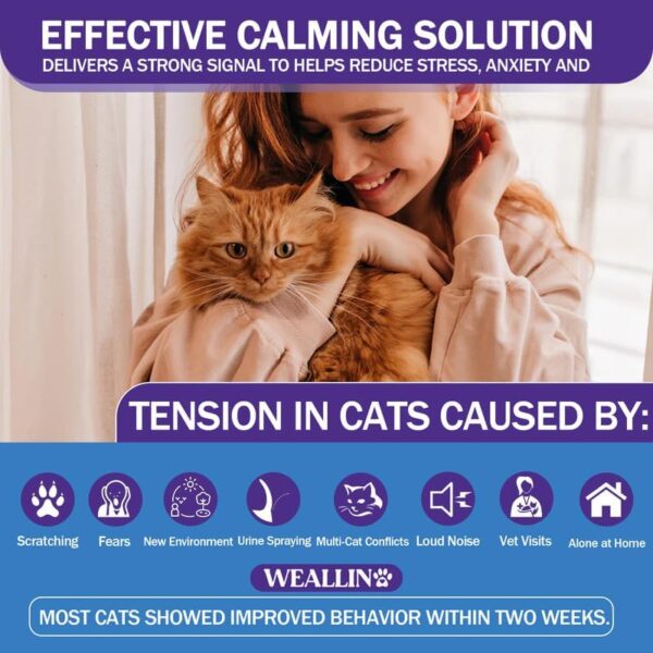 WEALLIN Cat Pheromone Diffuser - Cat Calming Plug-in Relieve Anxiety & Stress - 6-in-1 Cat Pheromones Calming Diffuser Kit with 2 Diffusers + 4 refill 48ml Vial - 4 Months of Comfort and Relaxation - Image 4