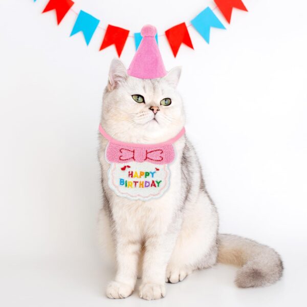 Small Dog Cat Birthday Hat Scarf Set, Cute Pet Birthday Bandana Party Supplies, Cat Birthday Outfit, Puppy Happy Birthday Decorations, Pet Birthday Accessories A6-CWSRZB(Pink) - Image 3