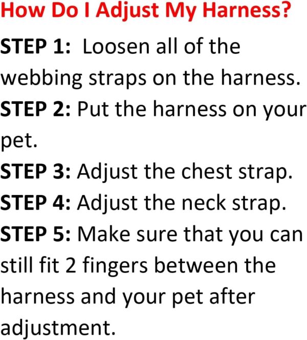 Best Pet Supplies Voyager Adjustable Dog Harness Leash Set with Reflective Stripes for Walking Heavy-Duty Full Body No Pull Vest with Leash D-Ring, Breathable All-Weather Wear - Turquoise, M - Image 9