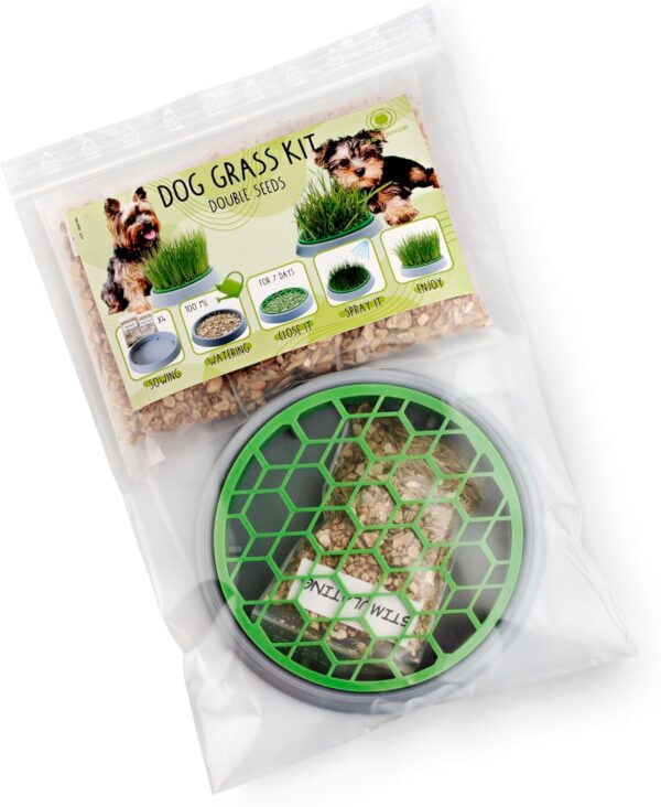 R&R SHOP - Double Seeds Dog Grass Kit - Germinating Pot, 2 types of Dog Grass, Stimulant and Digestive, 4 Sachets of Seeds and Substrate, Suitable for all Dogs - Image 4