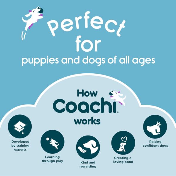 Coachi Chase & Treat - A Fun Enrichment Dog Toy, Fill with Treats for Interactive Play. Good for Motivating, Distance Reward Training & Encouraging Retrieval. Ideal for Agility & Suitable for Puppies - Image 6