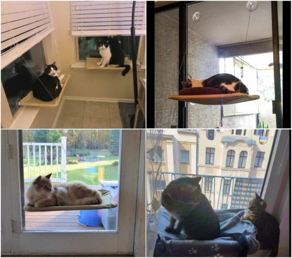 JZK Window mounted cat basking hammock + cat blanket, suction cup pet hanging bed and pet black blanket for cat perch - Image 4