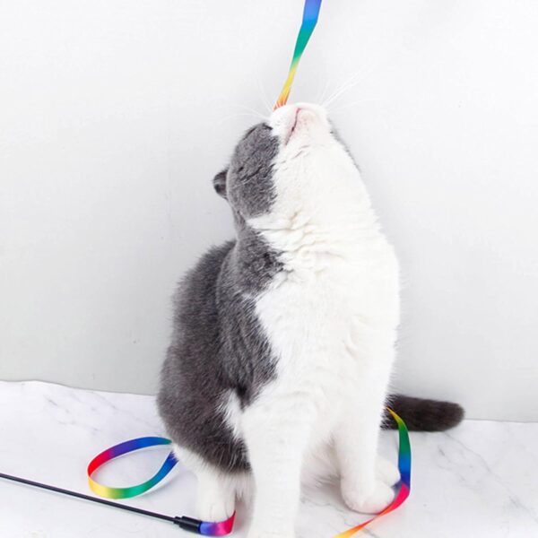 Cretty-Meet 2pcs Cat Wand Interactive Toy Colorful Fabric Ribbon Rainbow Cat String Toy Cat Teaser Wand for Kitten Exerciser Accessories Cat Training Playing Creative Funny Indoor Pet Interactive Toy - Image 2