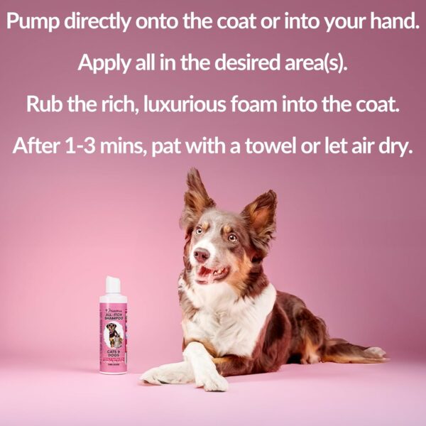 NutriPaw No-Rinse Shampoo for Dogs - Clean, Moisturise, Refresh, & Support Dry Skin - Unique Formula for Nourished Skin & Coat - Ideal for All Breeds - Image 6