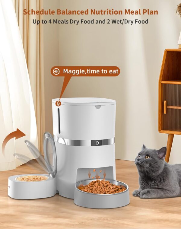 WellToBe Automatic Cat Feeder for Wet Food with Ice Pack and Freshness Dry Food Desiccant for Cats and Small Dogs, Timed Automatic Pet Feeder with Voice Recorder, 1-6 Meals Control, Dual Power Supply - Image 5