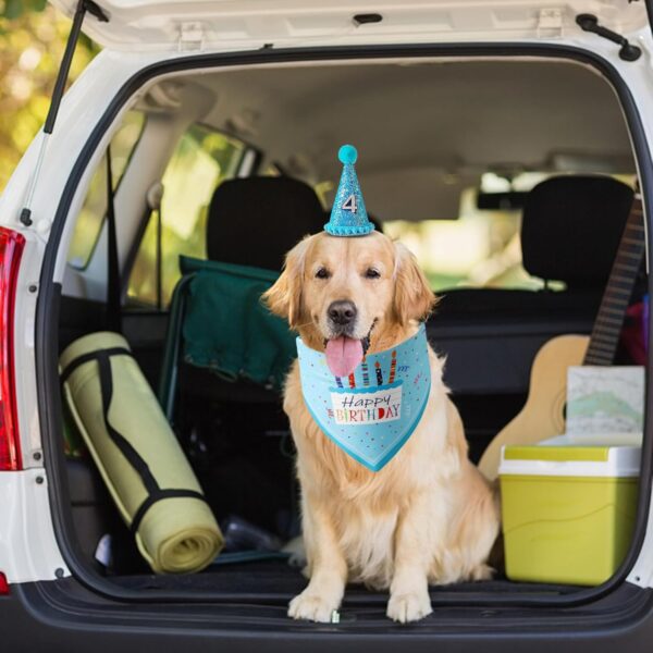 Dog Birthday Party Supplies,Reusable Dog Birthday Bandana Hat Set Boy with Number Dog Birthday Bandana Dog Cats Cap Birthday Party Decorations for Pets Dogs and Cats - Image 3