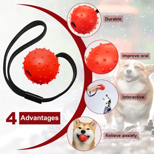 SKYLETY 4 Pieces Dog Ball on a Rope Training Ball Dog Toy Interactive Dog Ball on a String Reward and Exercise Toy for Small Medium Large Dog Fetching, Catching, Throwing and Tugging (5 x 30 cm) - Image 3