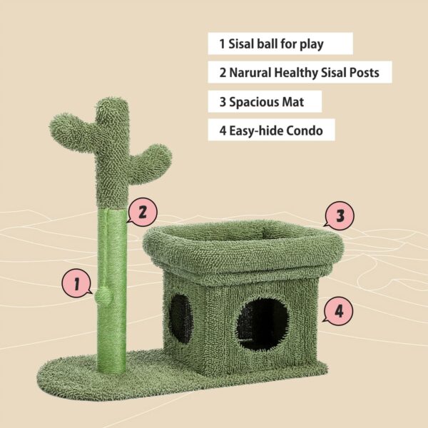 PAWZ Road Cactus Scratching Posts, Creative Scratching Posts, Stylish Cat Tree, with Ball and Cat House H: 70cm/27.6" Green - Image 2