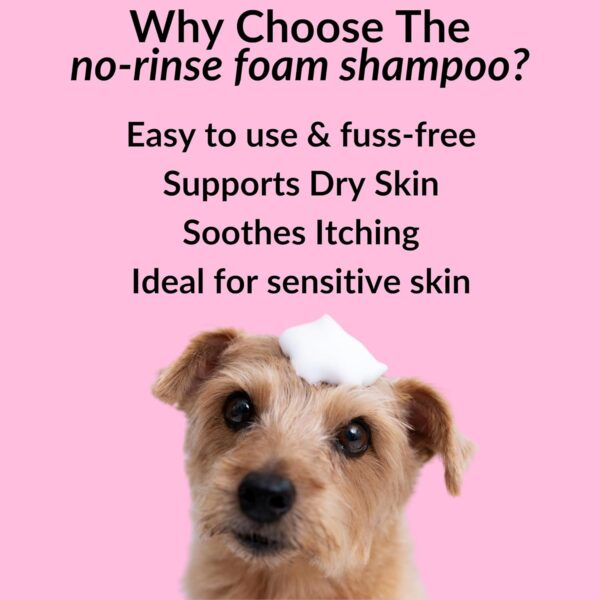 NutriPaw No-Rinse Shampoo for Dogs - Clean, Moisturise, Refresh, & Support Dry Skin - Unique Formula for Nourished Skin & Coat - Ideal for All Breeds - Image 2