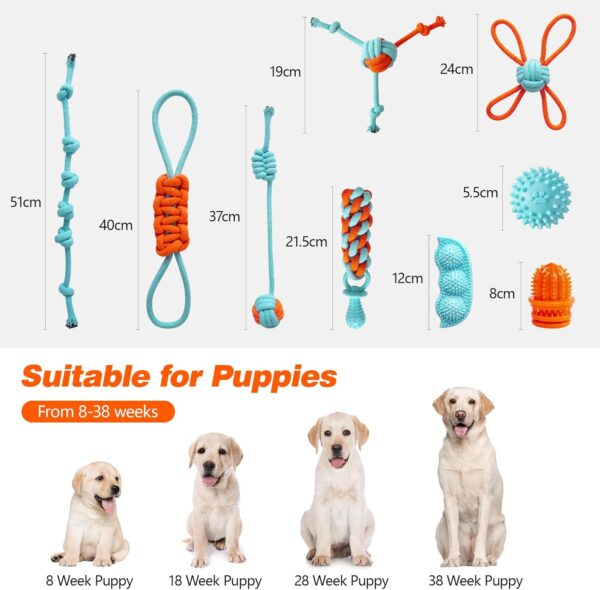 Ystars 9 Pcs Puppy Toys from 8 Weeks to 38 Weeks,Indestructible Puppy Teething Toys to Release Excess Energy,Interactive Puppy Chew Toy to Relieve Teething Itch and Pain,Tug of War Dog Toys for Puppy - Image 7