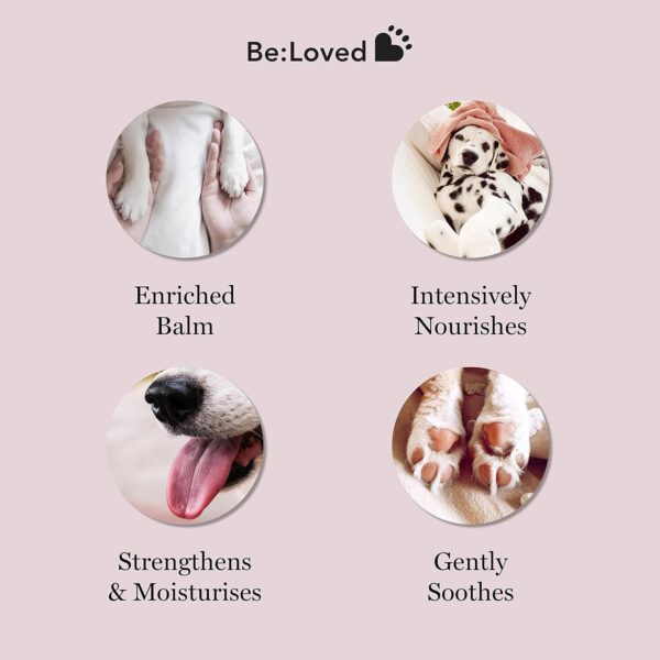 Be:Loved Be:Soft Pet Nose and Paw Balm for Dogs - Natural Cat and Dog Paw Balm | Shea Butter, Beeswax, Vitamin E and Manuka Honey Dog Nose Balm | Nourishing Dog Moisturiser for Dry Skin | 60g - Image 2