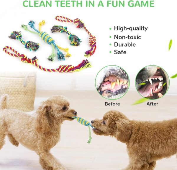 LEGEND SANDY Dog Squeaky Toys for Small Dogs, 12 Pack Puppy Toys for Teething, Cute Small Dog Toys Stuffed Plush Dog Toy Bundle, Natural Cotton Puppy Rope Toy, Puppy Chew Toys to Keep Them Busy - Image 5