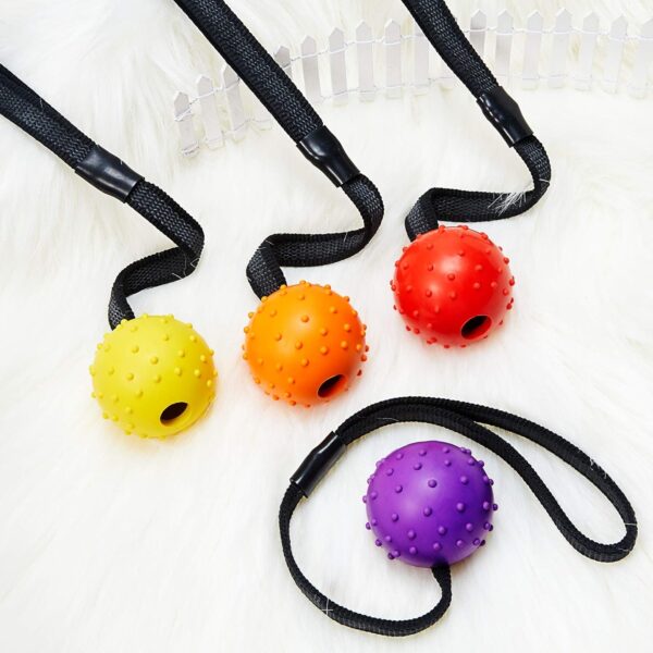 SKYLETY 4 Pieces Dog Ball on a Rope Training Ball Dog Toy Interactive Dog Ball on a String Reward and Exercise Toy for Small Medium Large Dog Fetching, Catching, Throwing and Tugging (5 x 30 cm) - Image 5