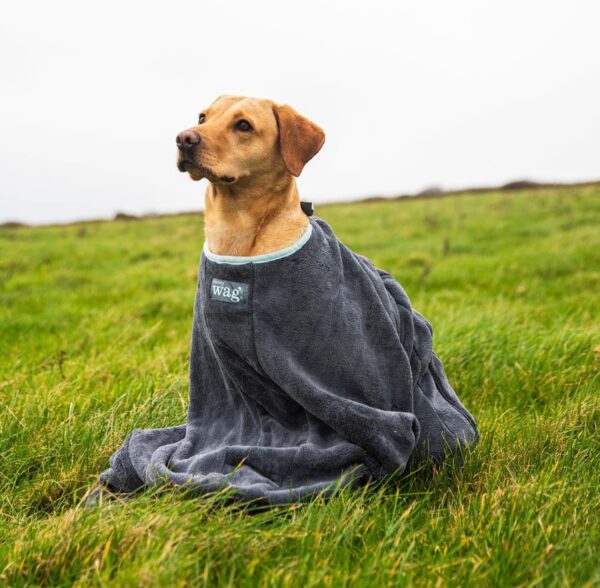 Henry Wag Dog Drying Bag - Soft & Highly Absorbent Microfibre, Muddy Pet Accessories, Quick Drying - Designed for Dogs - GRS Recycled Polyester - S (60 x 44 x 33 cm) - Image 8