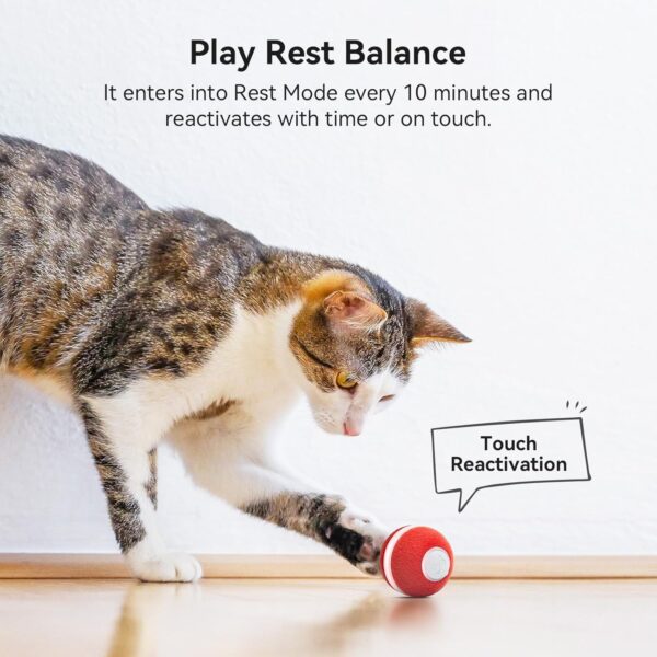 Cheerble Ball Cat Interactive, Cat Toy Bouncing Cat Ball with 3 Modes, Smart Cat Ball Toy with LED Light for Cats, Motion Sensor Smart Pet Ball, Fun Gift for Indoor Cats Kitten, Red - Image 4