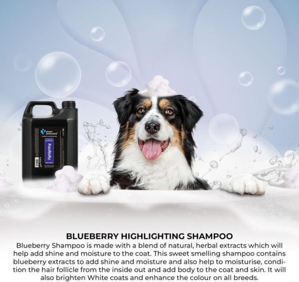 GROOM PROFESSIONAL Blueberry Highlighting Dog Shampoo - Deep Cleansing Shampoo for Dogs - Brightens White Coats - Colour Enhancing - Adds Shine & Moisture to Coat - Perfect for Dull Coats, 4 Litre - Image 5