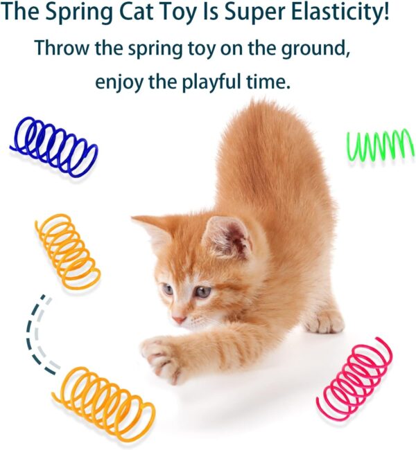 16 PCS Colorful Spring Cat Toys Interactive Kitten Toys for Boredom Durable Soft Plastic Cat Spring Toy for Swatting, Biting, Hunting Kitty Toy - Image 3