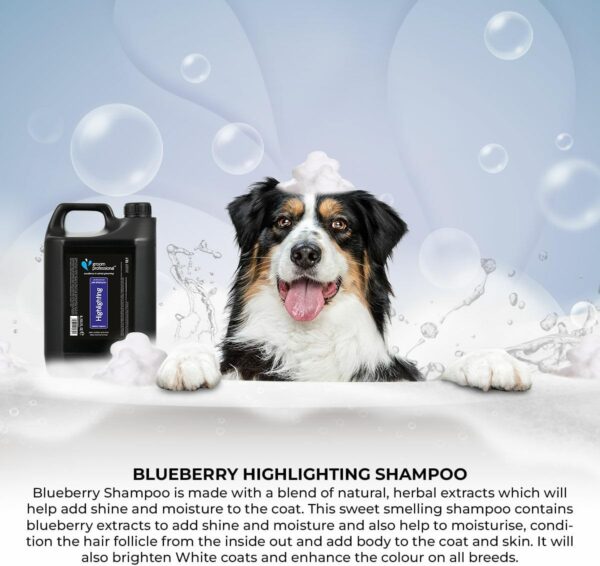 GROOM PROFESSIONAL Blueberry Highlighting Dog Shampoo - Deep Cleansing Shampoo for Dogs - Brightens White Coats - Colour Enhancing - Adds Shine & Moisture to Coat - Perfect for Dull Coats, 4 Litre - Image 3