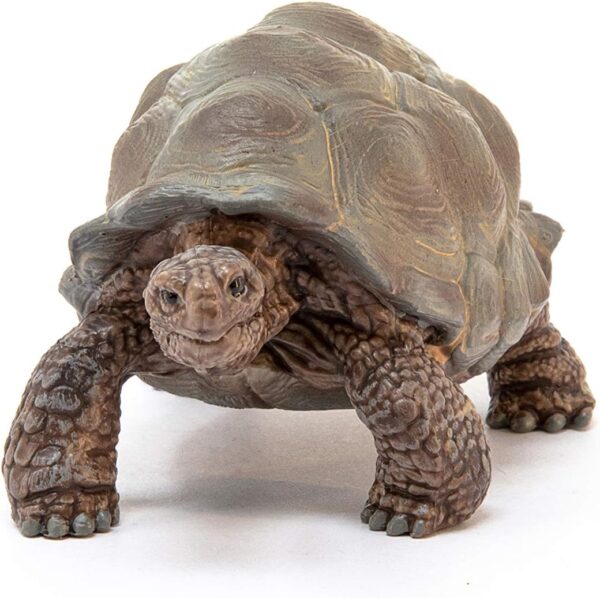 schleich Wild Life 14824 Realistic Exotic Galapagos Giant Tortoise Figurine - Wild Animal Giant Tortoise Toy for Wildlife Play and Imagination - Animal Toys Gift for Boys, Girls, Kids Ages 3+ - Image 3